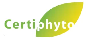 Certyphito1 300x168